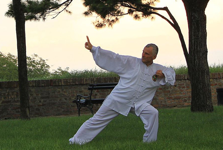 DRAGAN PETROVIĆ O DREVNOJ KINESKOJ VEŠTINI ČI GONG – MARINIRANJE