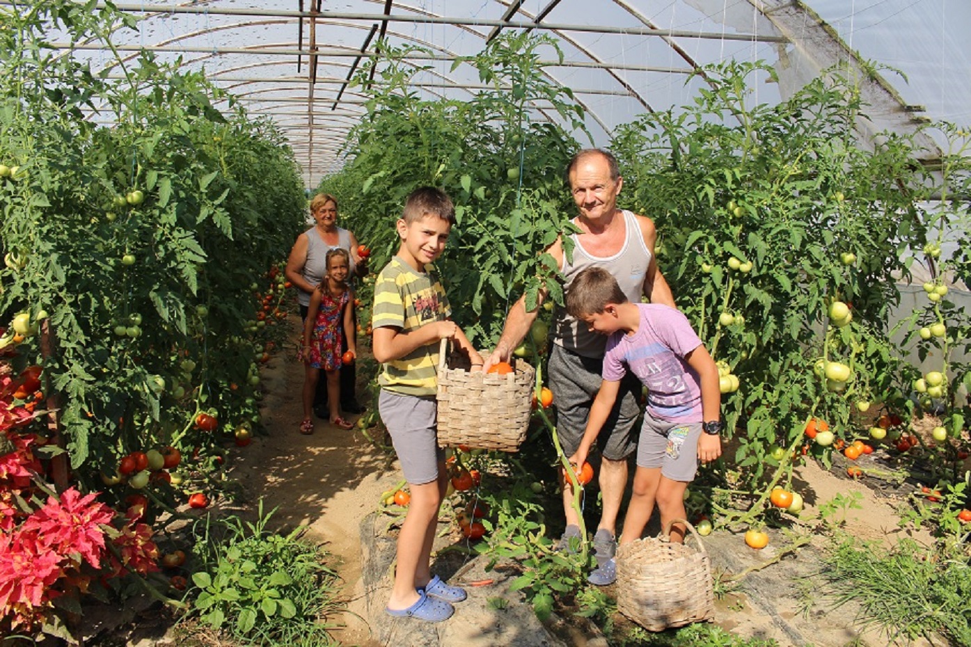 FOTO: MILAN PILIPOVIĆ/RAS SRBIJA