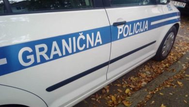 Granična policija