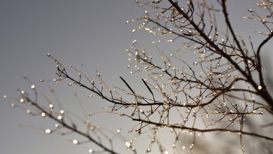 Klimatološka zima toplija od uobičajene