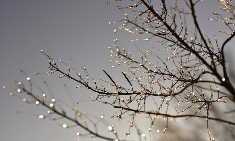 Klimatološka zima toplija od uobičajene